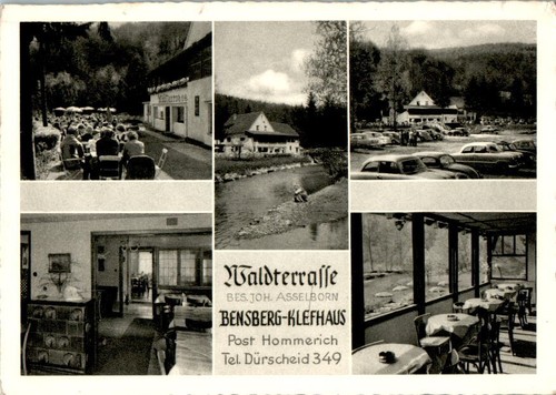 waldterrasse