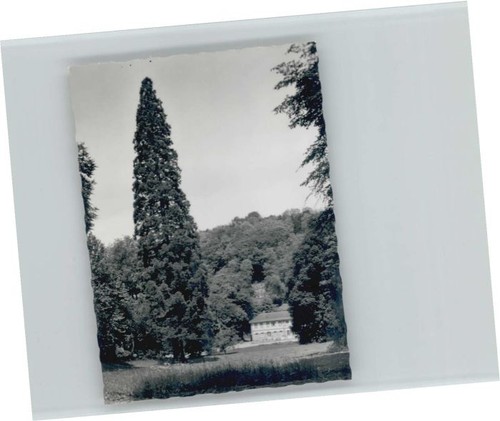 Bensheim bergstrasse - bensheim,