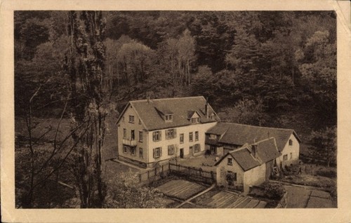 Auerbach bensheim der - auerbach,