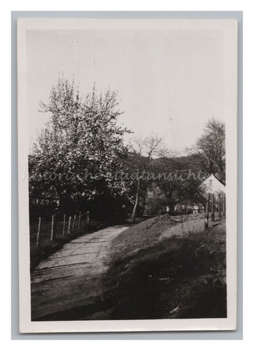 Bensberg 1947 frühling - bensberg,